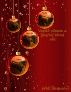 christmas-pohled.jpg